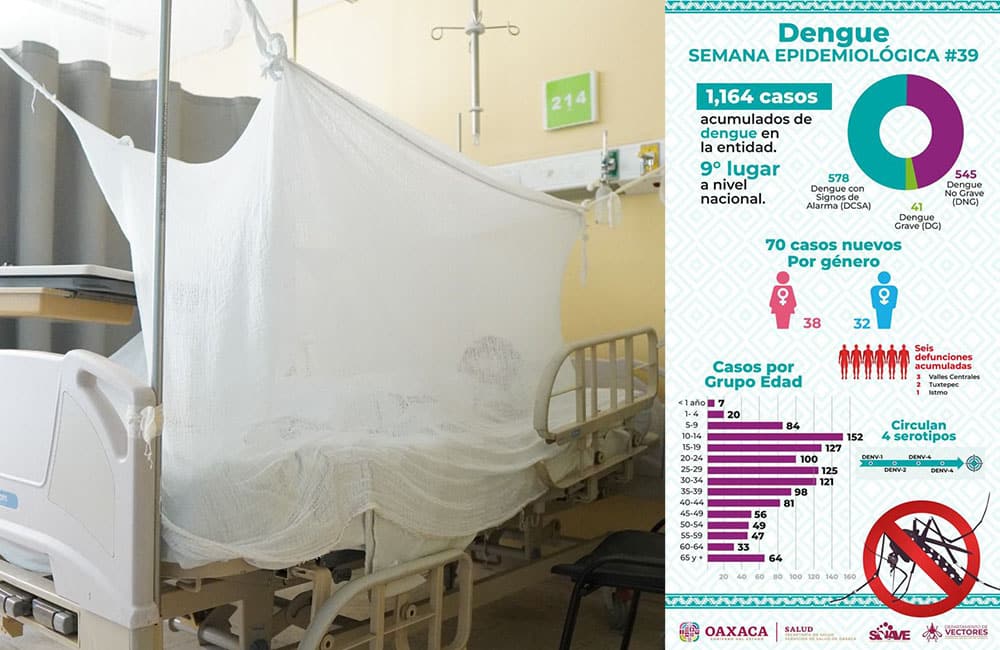 Dengue pone en riesgo epidemiológico alto a 46 municipios de Oaxaca