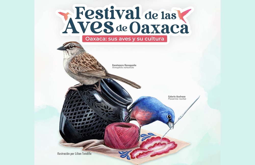 Realizará Gobierno del Estado el Primer Festival de las Aves de Oaxaca