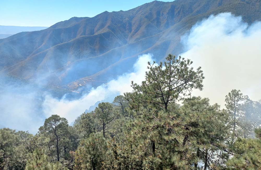 Atiende Gobierno de Oaxaca incendios forestales suscitados en la entidad