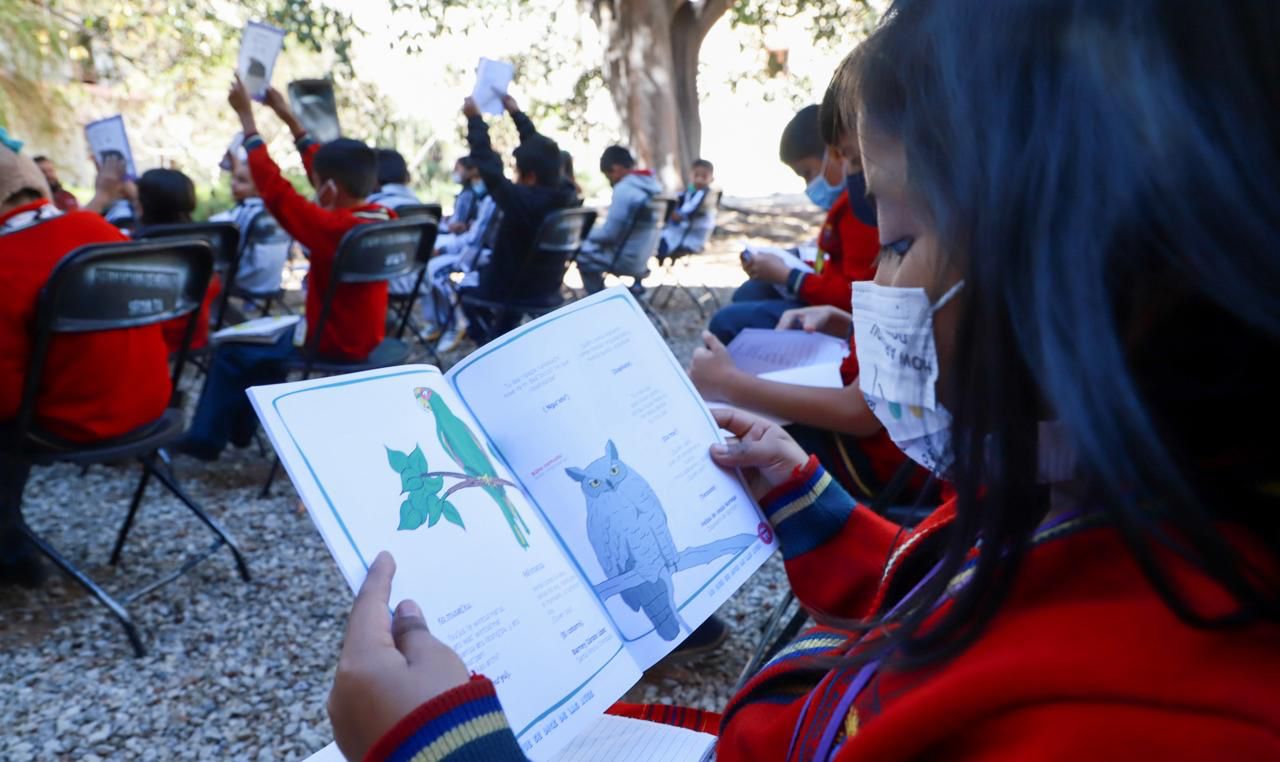 Presentan libro infantil con nombres de aves en lenguas indígenas