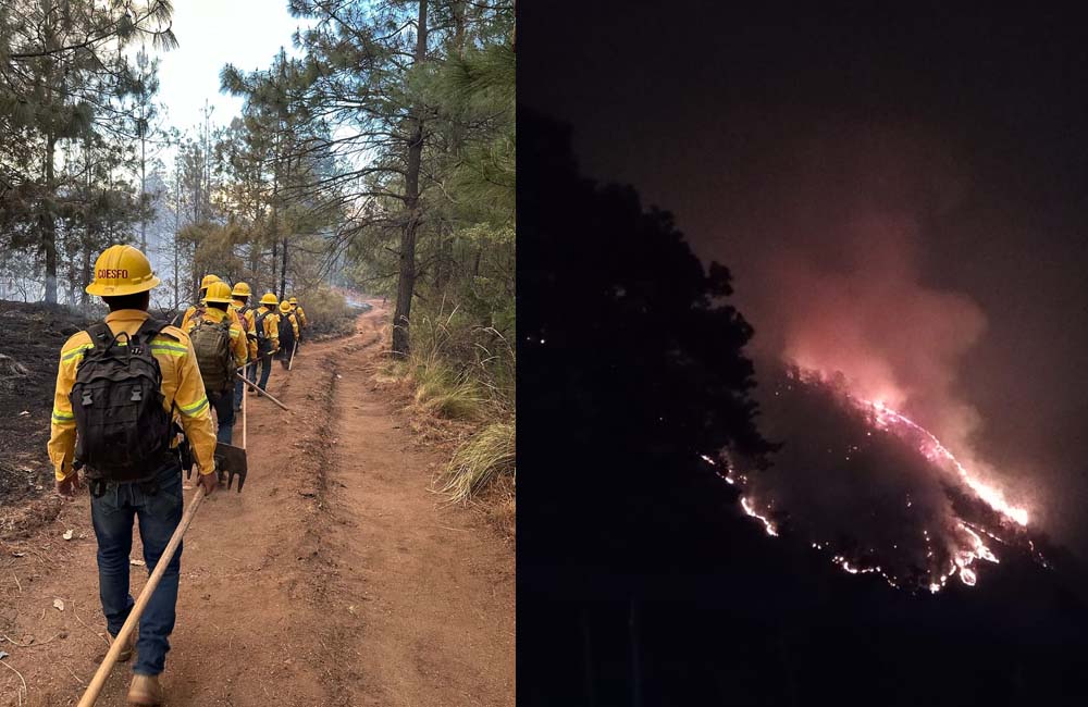 Atienden Coesfo y Conafor 11 incendios forestales en Oaxaca