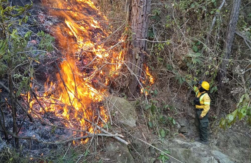 Liquida Coesfo incendio forestal en los Loxichas; atienden reporte en Santa María Sola