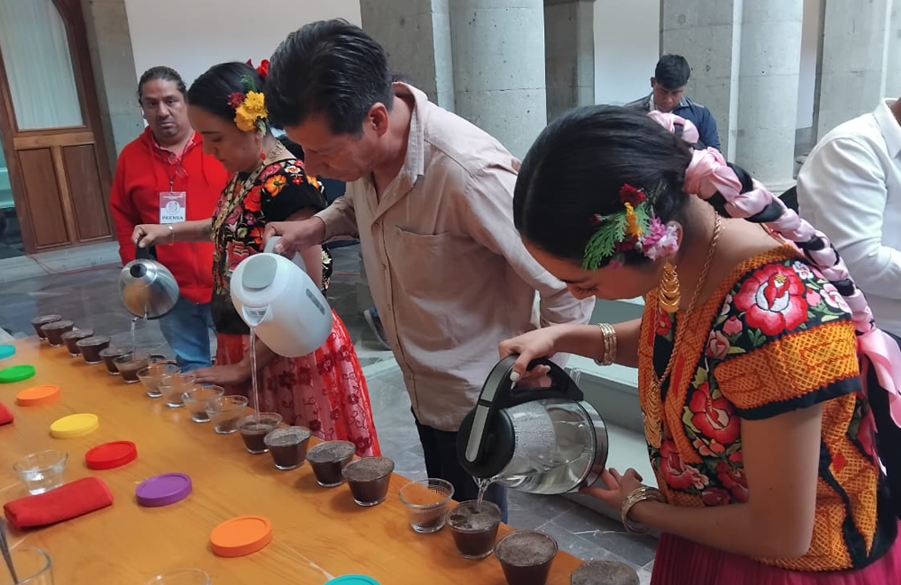 Crece en Oaxaca el fenómeno de café de especialidad