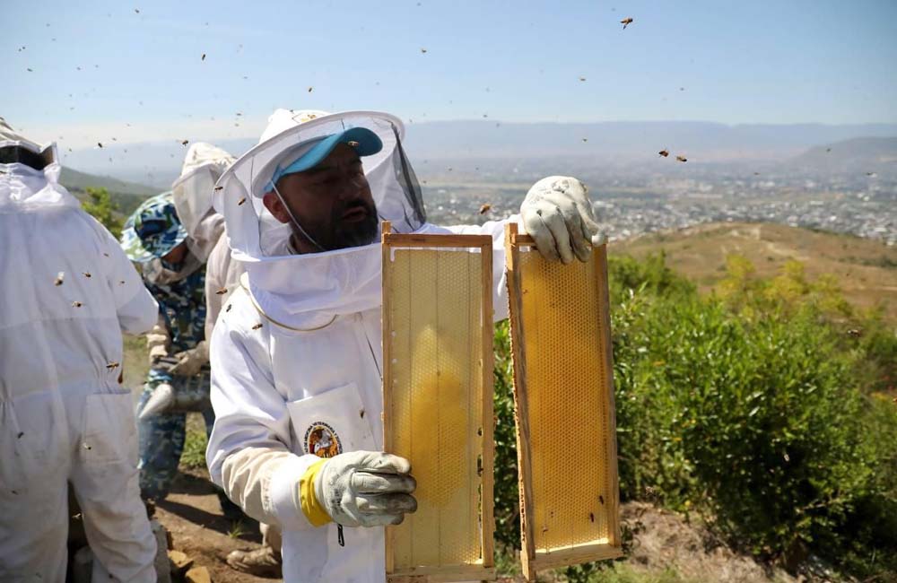 Apiarios de Veterinaria UABJO, un proyecto de impacto social y ambiental