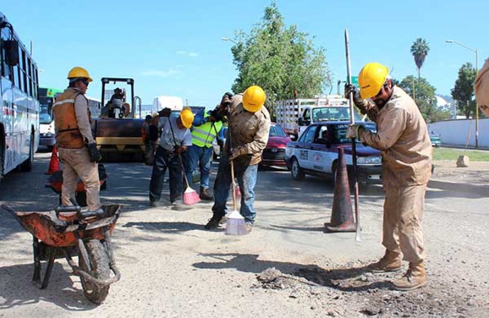 1-bacheo-2019