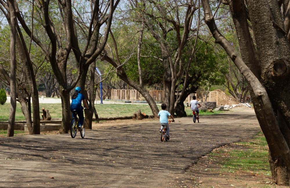 Bosque el Tequio