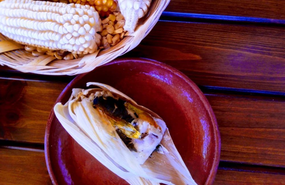 Cocineras tradicionales de Oaxaca comparten sus recetas de tamales, un platillo de celebración 4