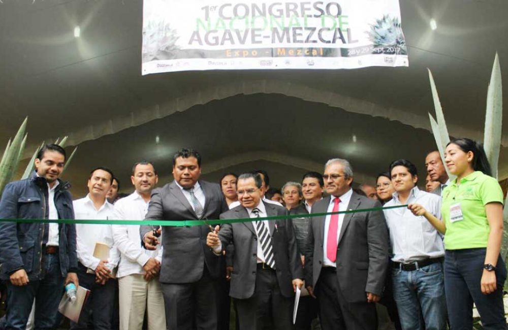 Congreso-AGAVE