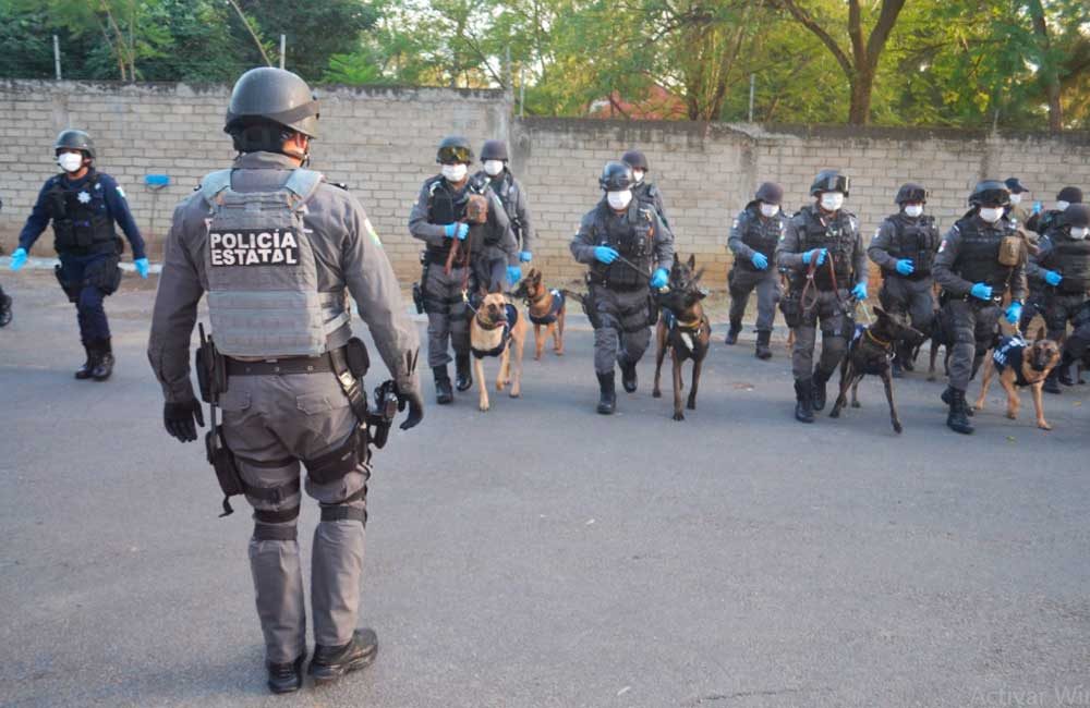 Cumple-20-años-la-Unidad-Canina-de-la-Policía-Estatal--9