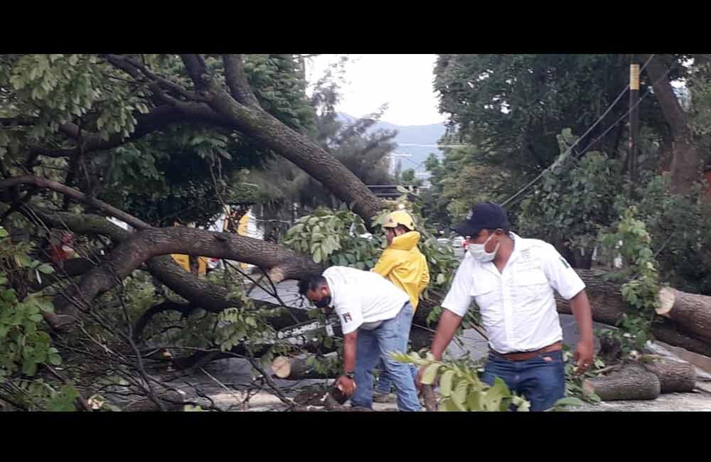 Daños-lluvia-5