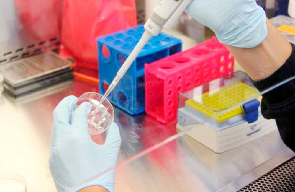 Descubren-científicos-suizos-cómo-bloquear-la-infección-del-coronavirus-SARS-CoV-2