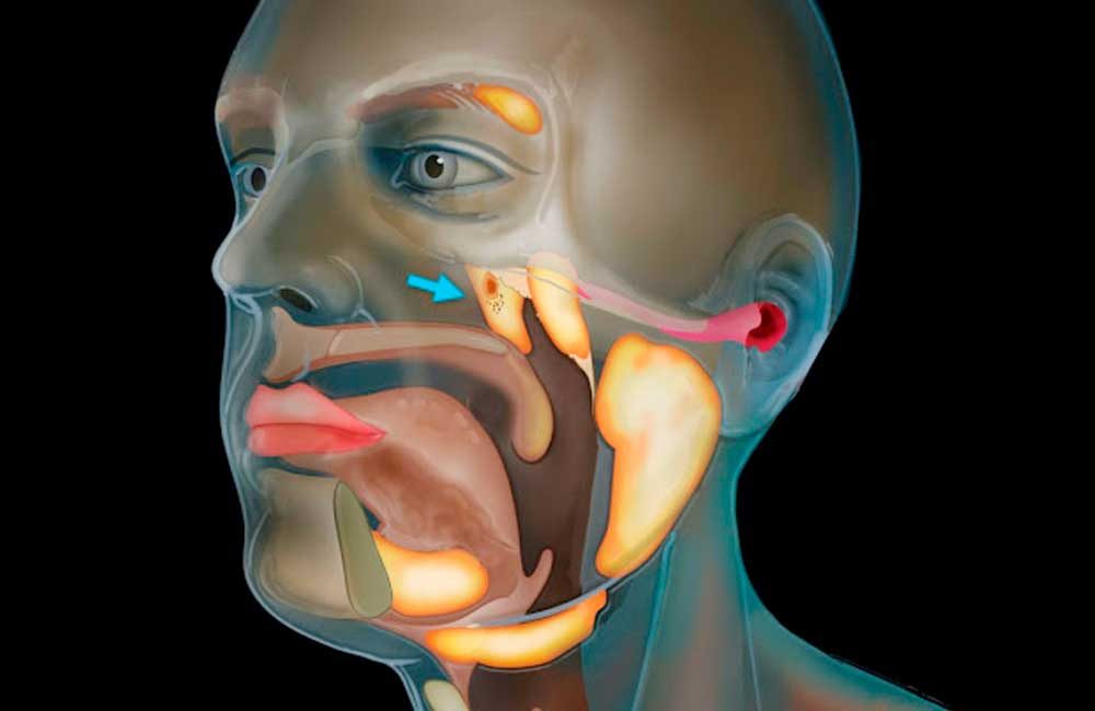 Descubren-científicos-una-nueva-parte-del-cuerpo-humano