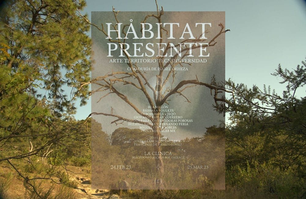 Exposición Habitat Presente Oaxaca