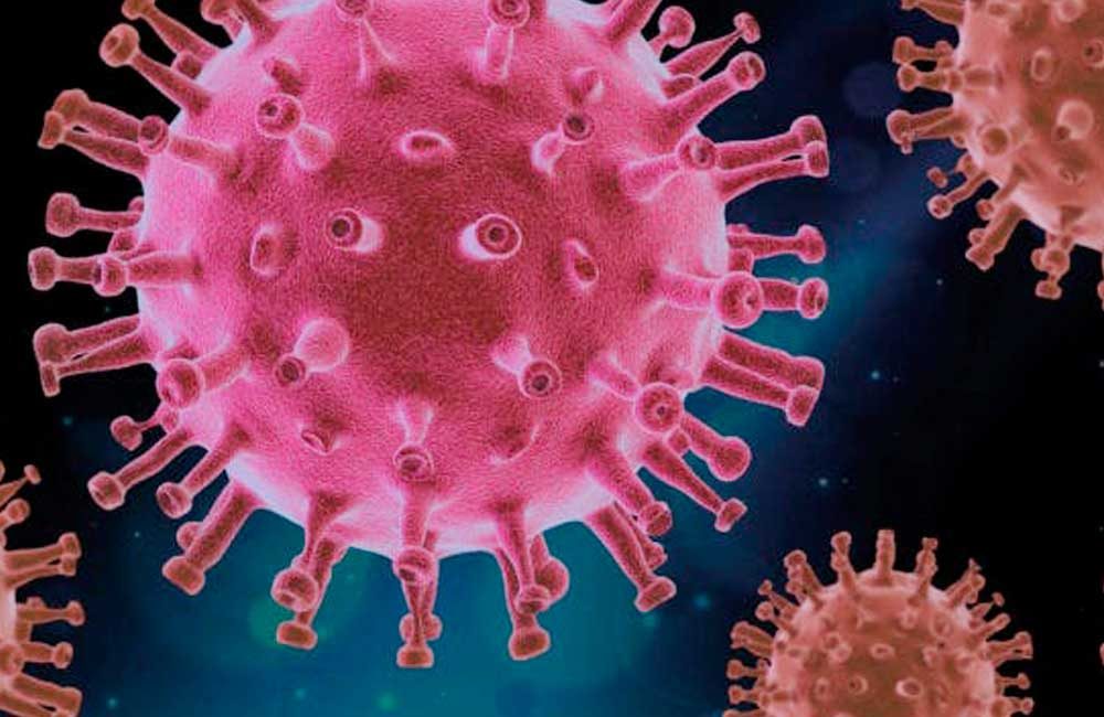 Identifican-moléculas-que-impiden-la-entrada-del-coronavirus-a-las-células
