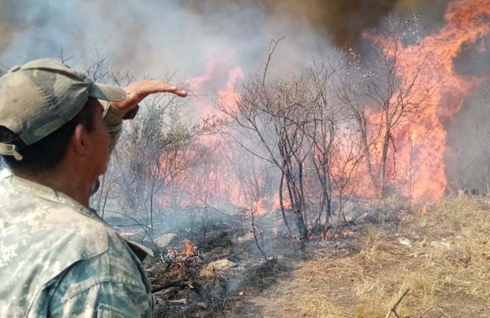 Incendios forestales