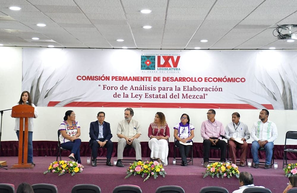 Iniciativas sector mezcalero Congreso Oaxaca