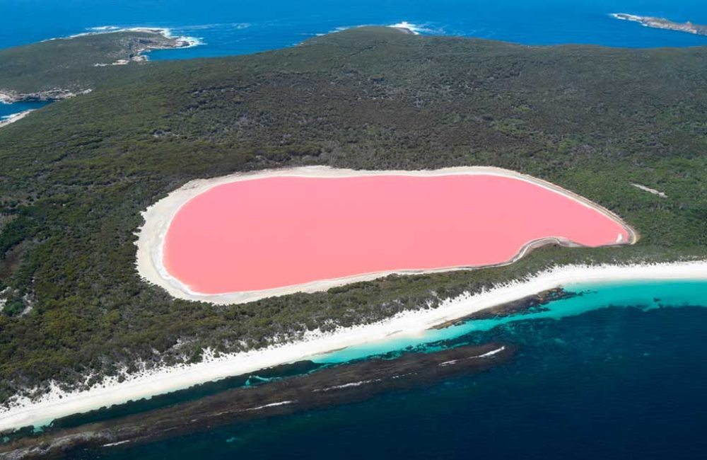 Lago-de-Australia-se-pigmenta-de-color-rosa-brillante;-científicos-han-descubierto-el-porqué