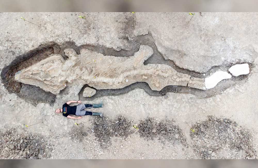 Los-restos-del-'dragón-marino'-más-grande-jamás-excavado-fue-encontrado-en-el-Reino-Unido