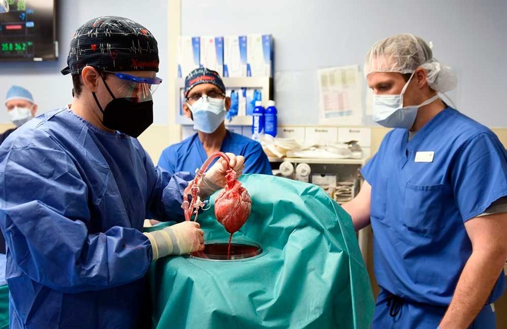 Médicos-estadounidenses-implantan-por-primera-vez-un-corazón-de-cerdo-a-un-humano