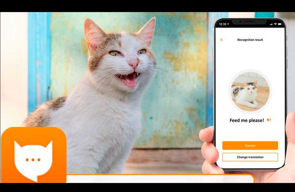 Meow Talk Una app que traduce el maullido de los gatos PressLibre