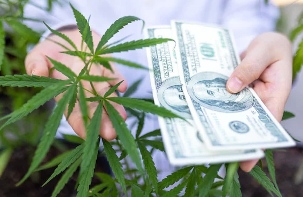 Poder y dinero, estigma de cannabis