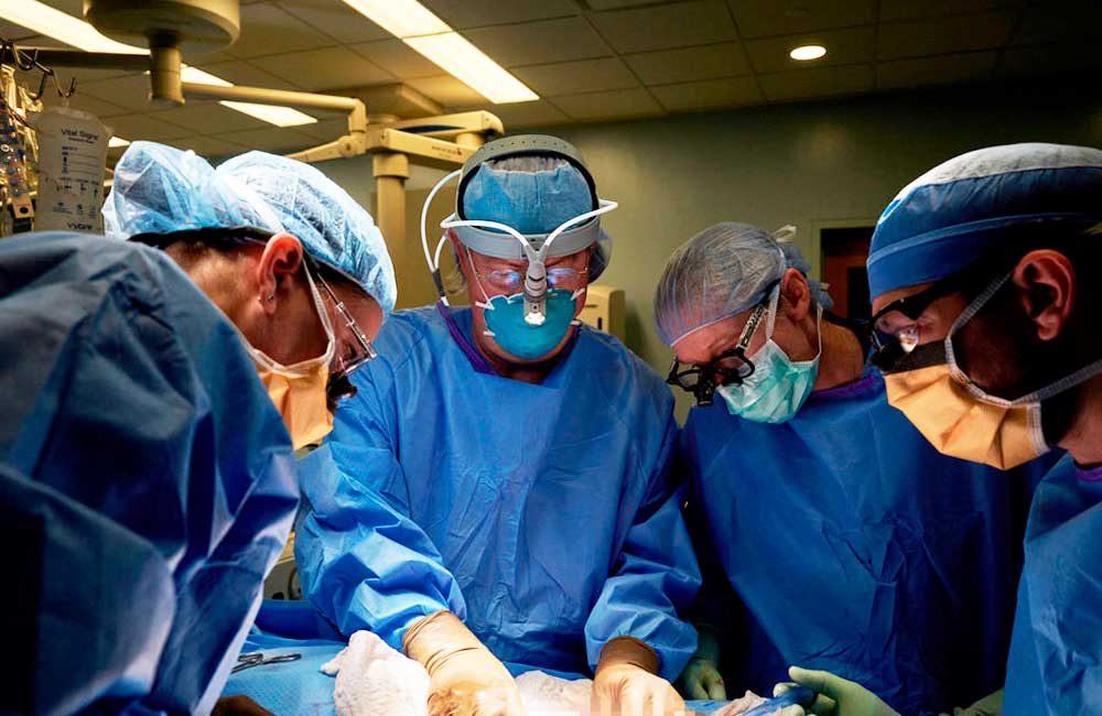 trasplante-experimental-de-un-riñón-de-cerdo-a-un-ser-humano